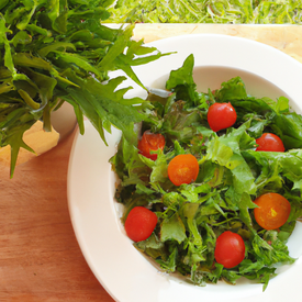 salada verde orgânica